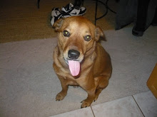 Roxie...isn't she adorable