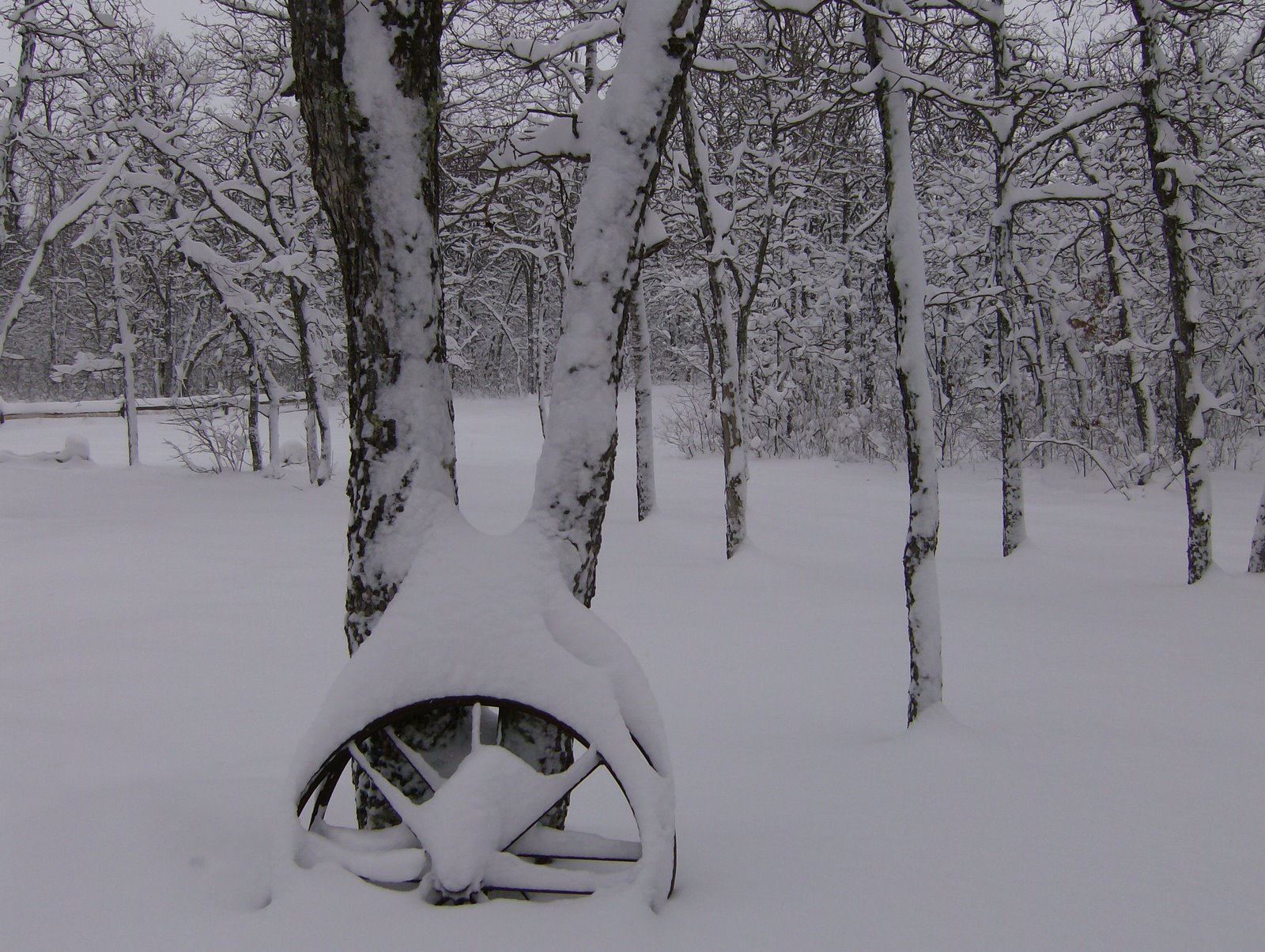 [Wintery+Wagon+Wheels.JPG]