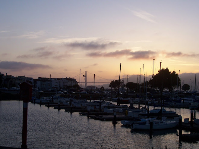 Marina at Sunset