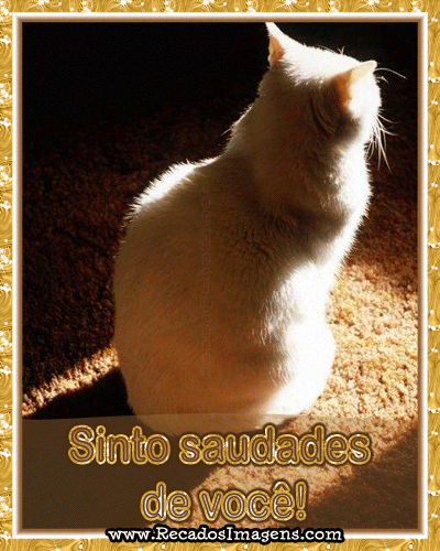 [saudades.gif]