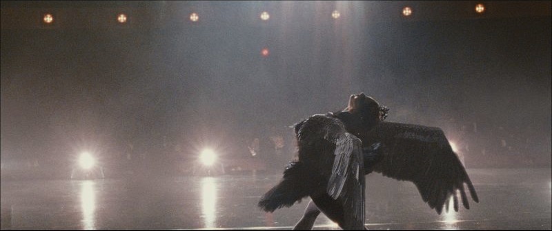 Film Review: Black Swan Black Swan Wings Movie. Film Review: Black Swan