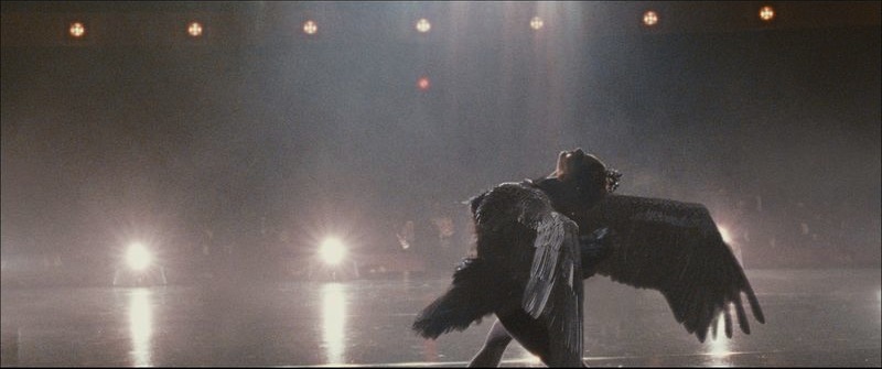 Black Swan Wings Movie. Film Review: Black Swan