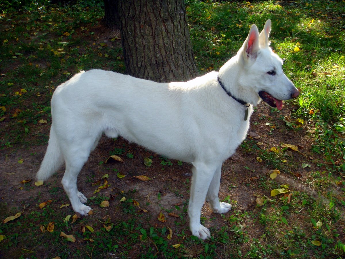 [DSC03487.JPG]