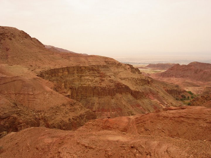 [DSC01094.JPG]