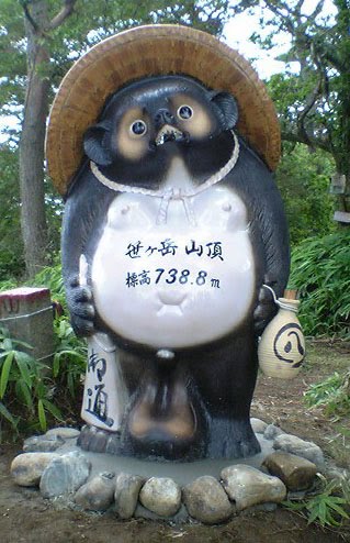 tanuki animal