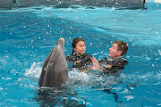 Nicole  le dice hola al delfin