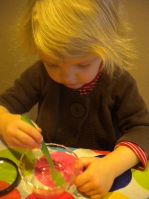 Do as I Say and as I Do: January 2011