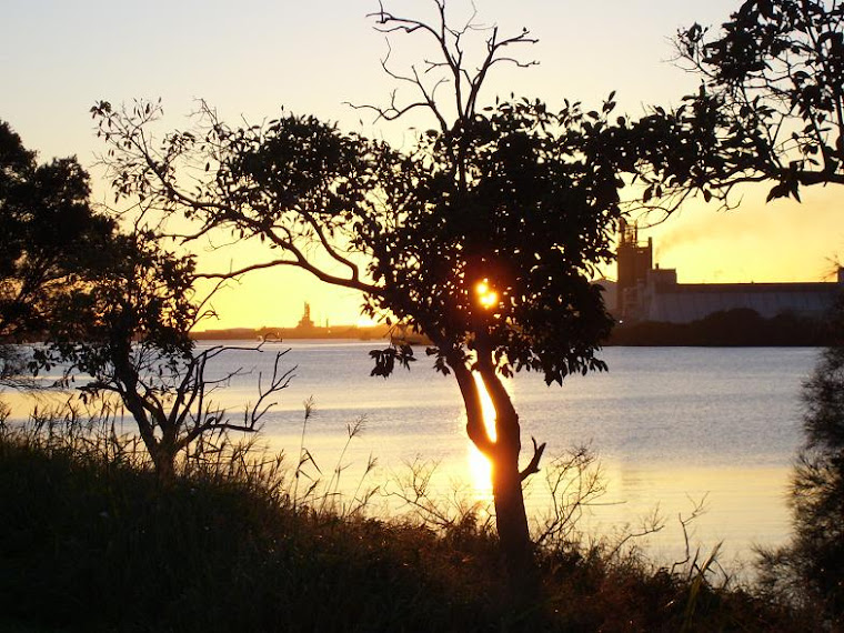 Brisbane River by EGreenshill