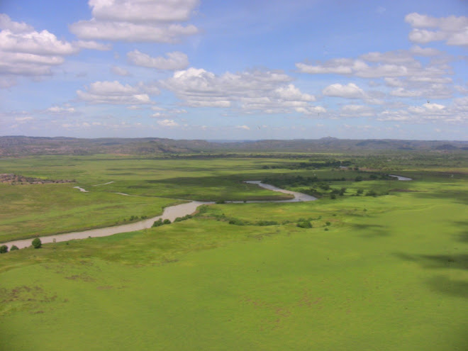 the Kakadu wetlands from the chopper