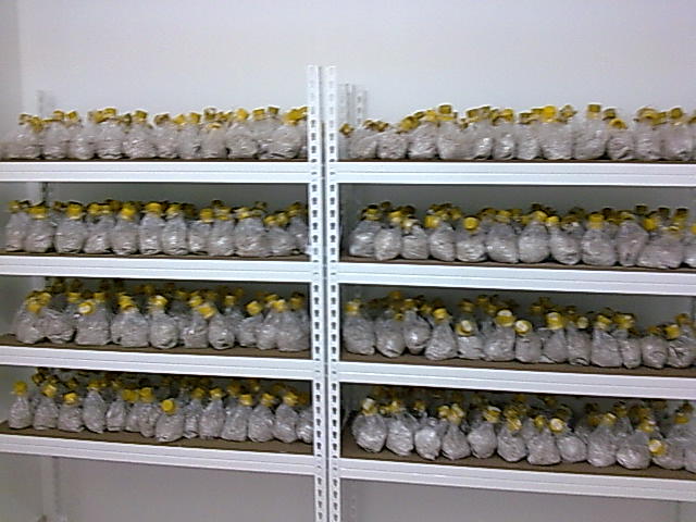 [Ã¥Â½Â±Ã¥Æ’Â 002[1]]