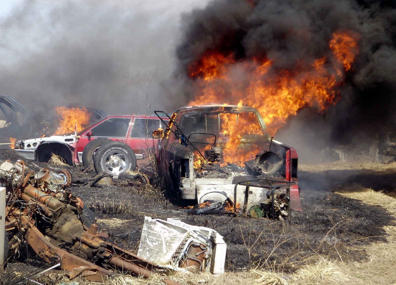 [P3170105-733778.JPG]