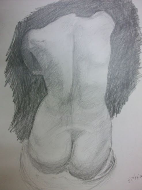 torso