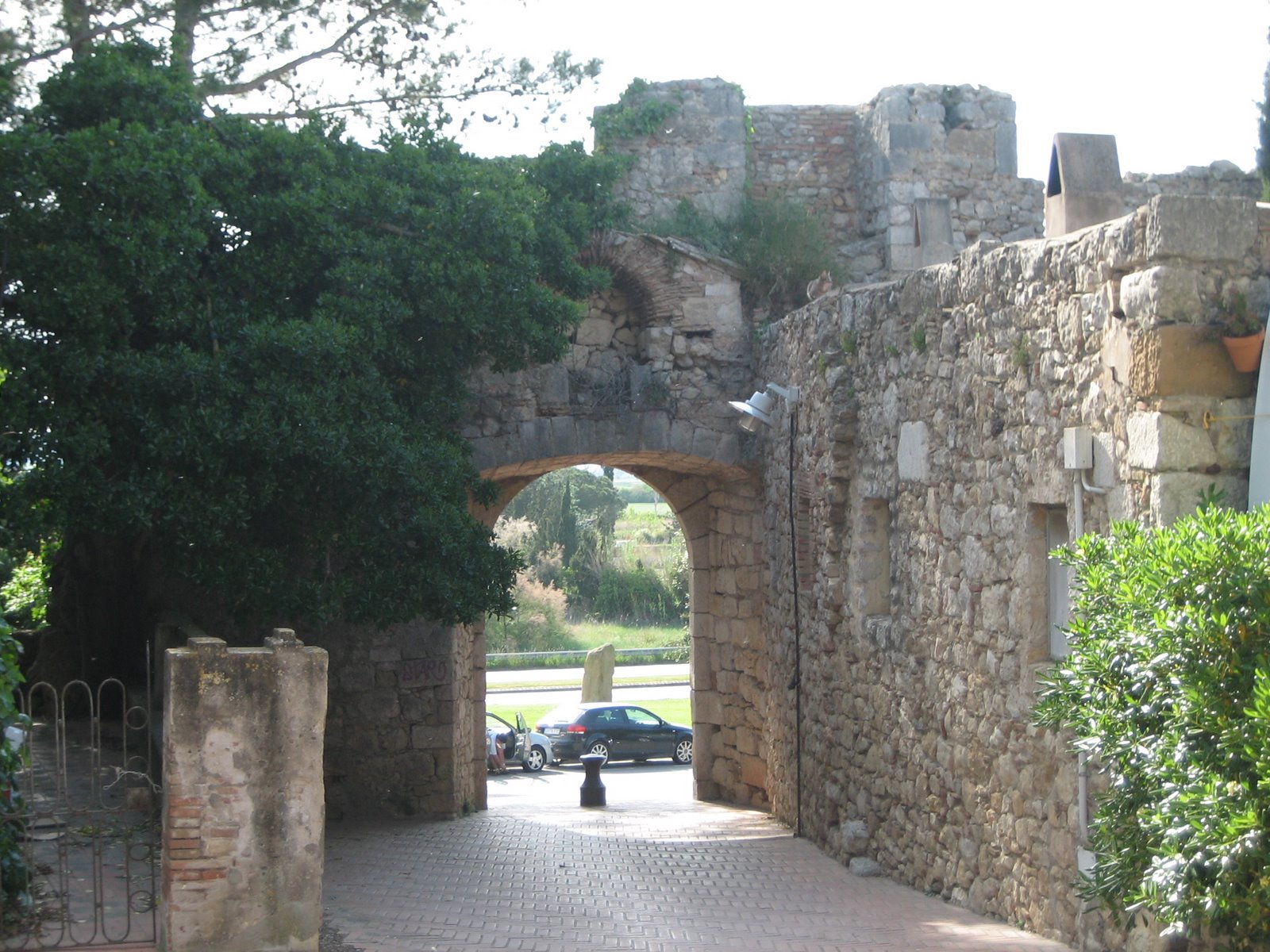 [IMG_2151.JPG]