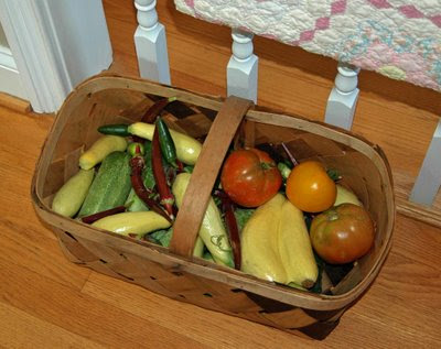 a basket of fresh veggies from Farmer Jim's garden
