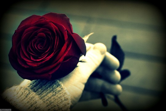 ���� ���� ������ �� ���� ������