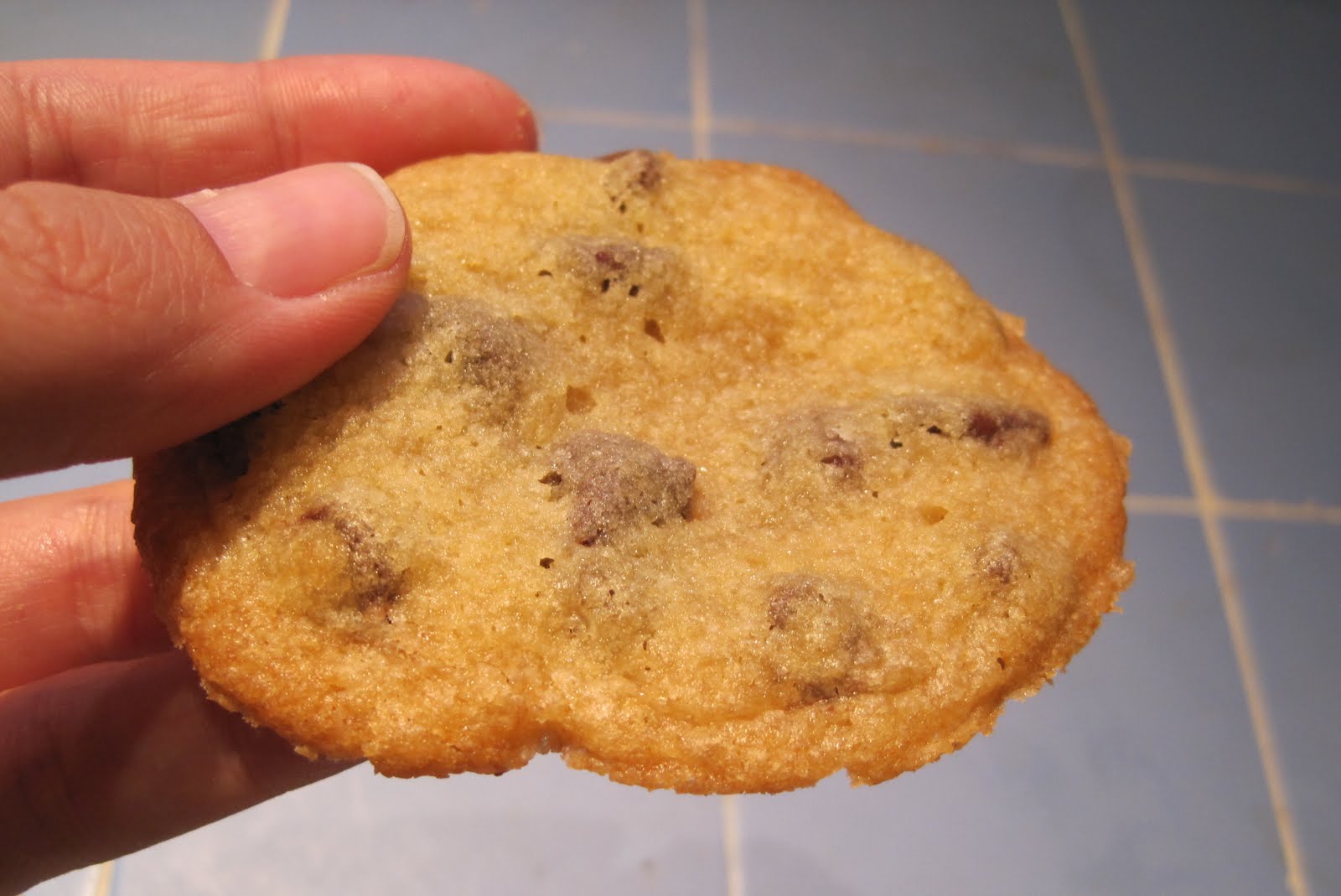 Time for a Change Flat Cookies and Food Waste. Yum?