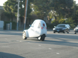 不良おばちゃんのカリフォルニア写真日記 昨日の新聞の一面見出し Invasion Of The Jumbo Squid 巨大イカの襲来 怪獣映画 のタイトルみたいじゃない 体長２メートルの凶暴なイカの大群がモンタレー湾に押寄せているらしい 食えるのか イカの刺身食いたい