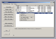 TROVARE FILE DOPPI NEL PC