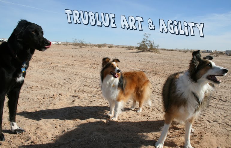 TruBlue Art and Agility