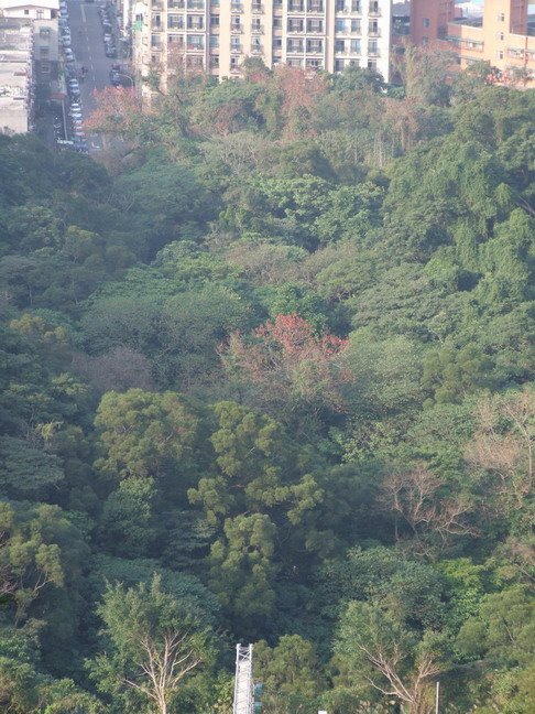 [DSCF4825_大小.JPG]