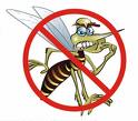 [dengue.jpg]