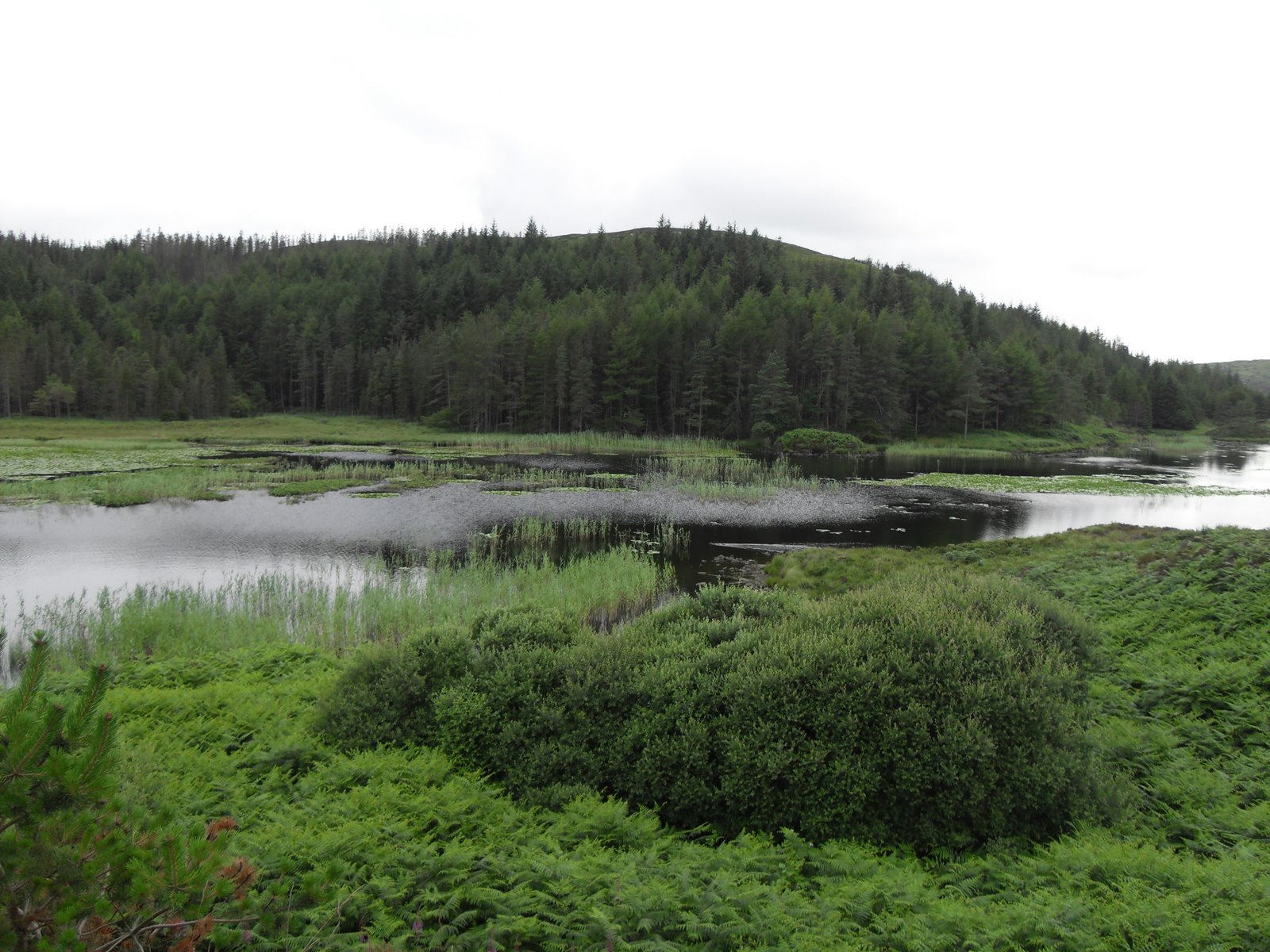 [SDC11297.JPG]