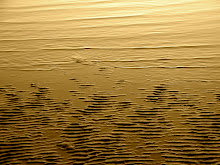 Ripples