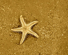 Starfish