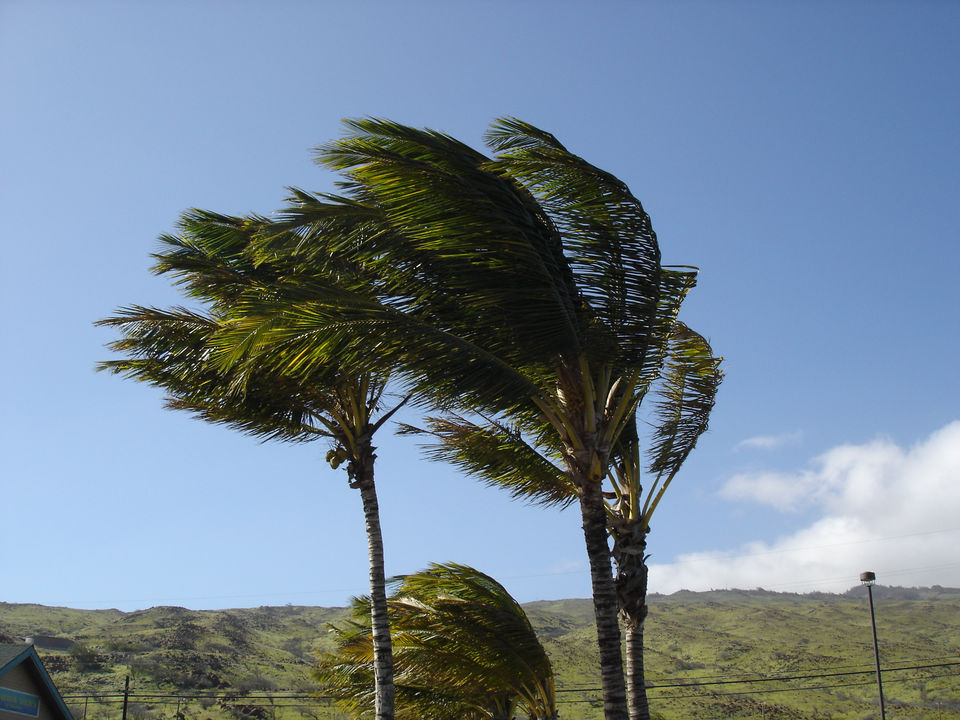 [strong-winds.jpg]