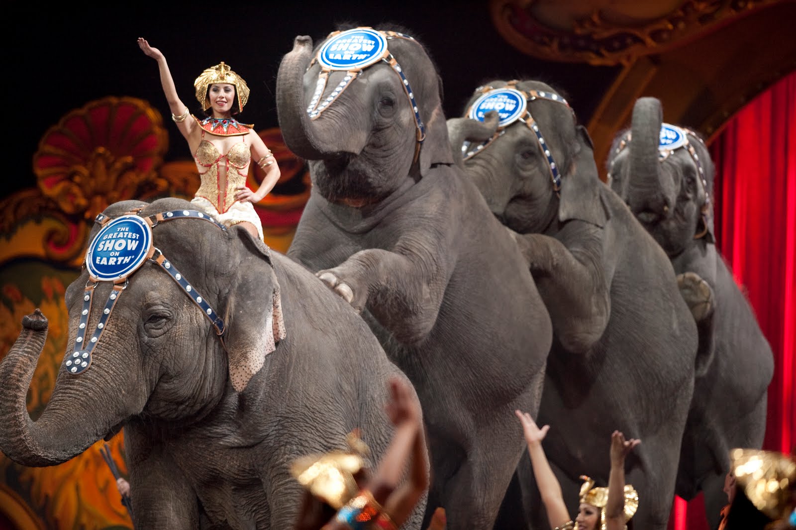 This Just In Get a sneak peek at the circus