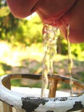 Fotografia mea