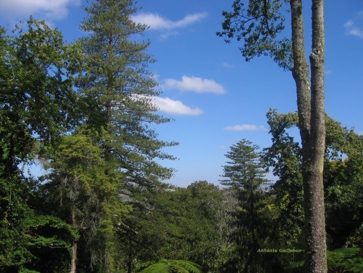 Serra de Sintra