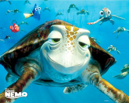 finding-nemo-turtles-4900799.jpg
