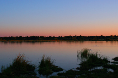 [IMG_2760_Moremi.jpg]