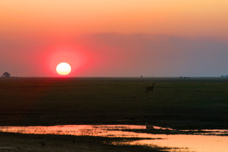 [IMG_3070_ChobeSonne.jpg]