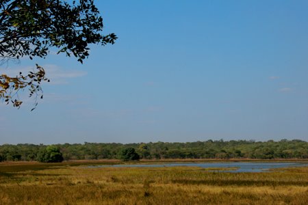 [IMG_3904_KasankaWasa.jpg]