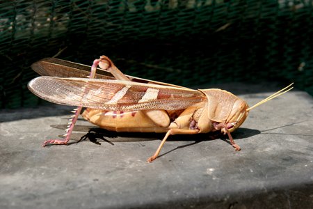 [IMG_3870_KasankaSchrecke.jpg]