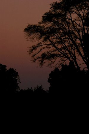 [IMG_3947_KasankaSonneunter.jpg]