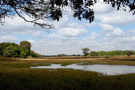[IMG_4012_KasankaCampsee.jpg]