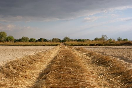 [IMG_5387_SouthLuangwa27.jpg]