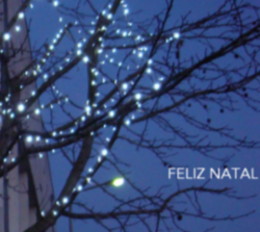 [natal2008.JPG]
