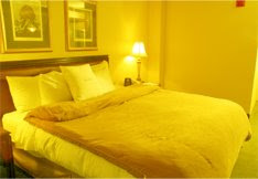 Yellow BedRoom Design