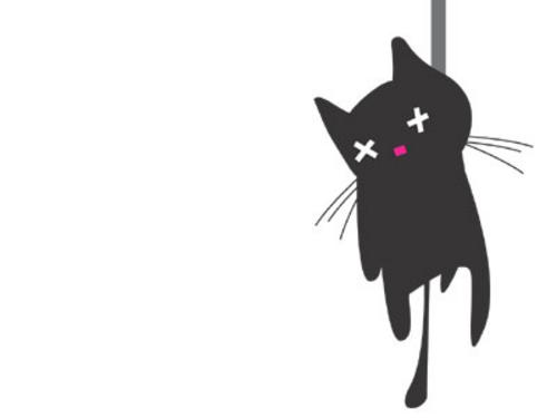 [Gato.jpg]