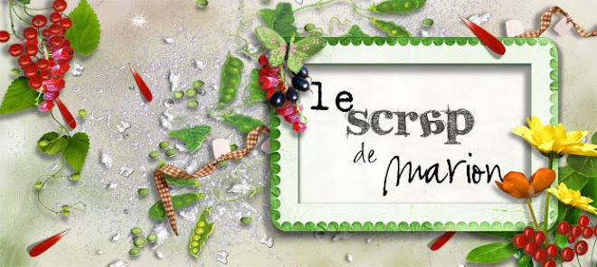 Le scrap de Marion