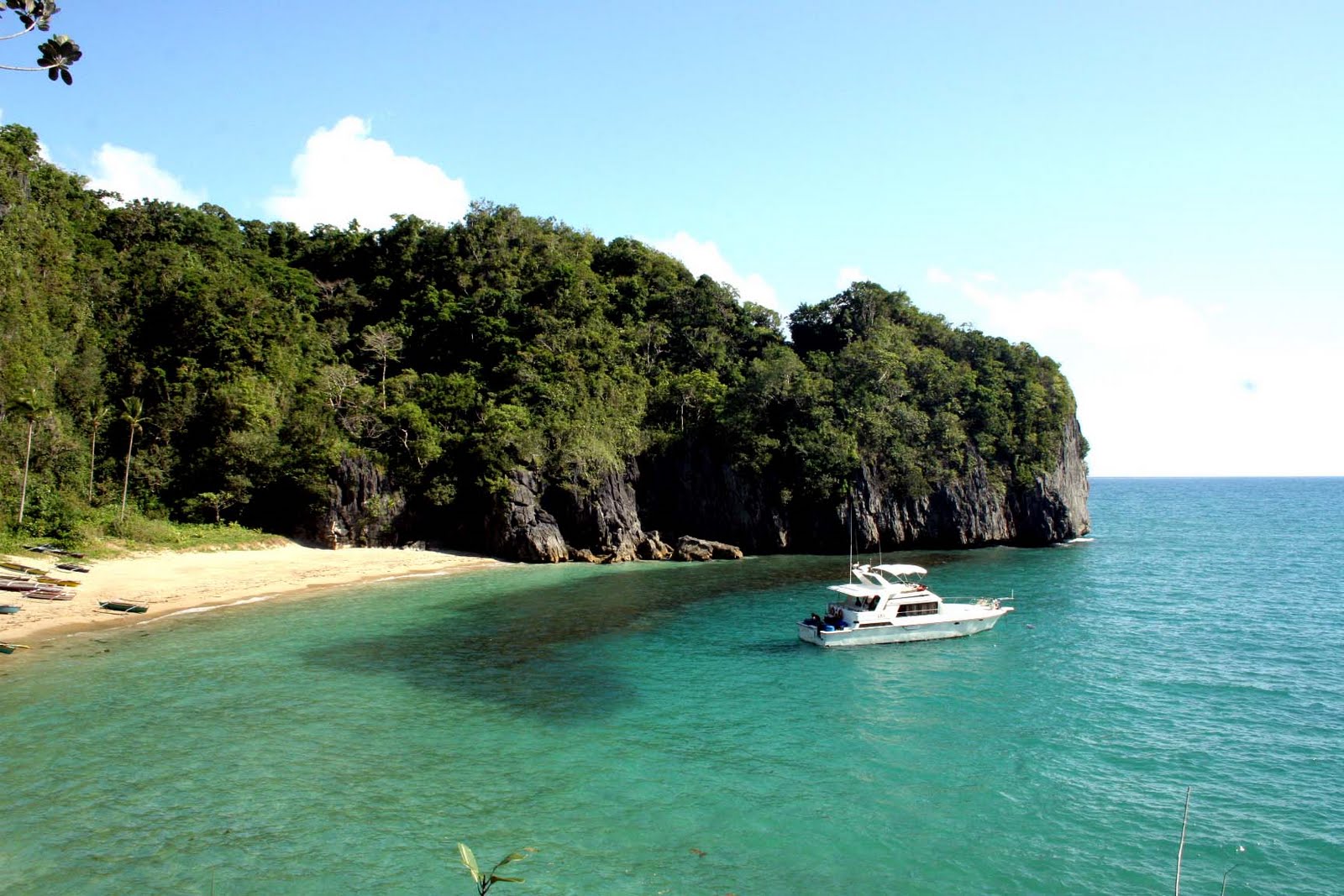 CARAMOAN-CAM SUR