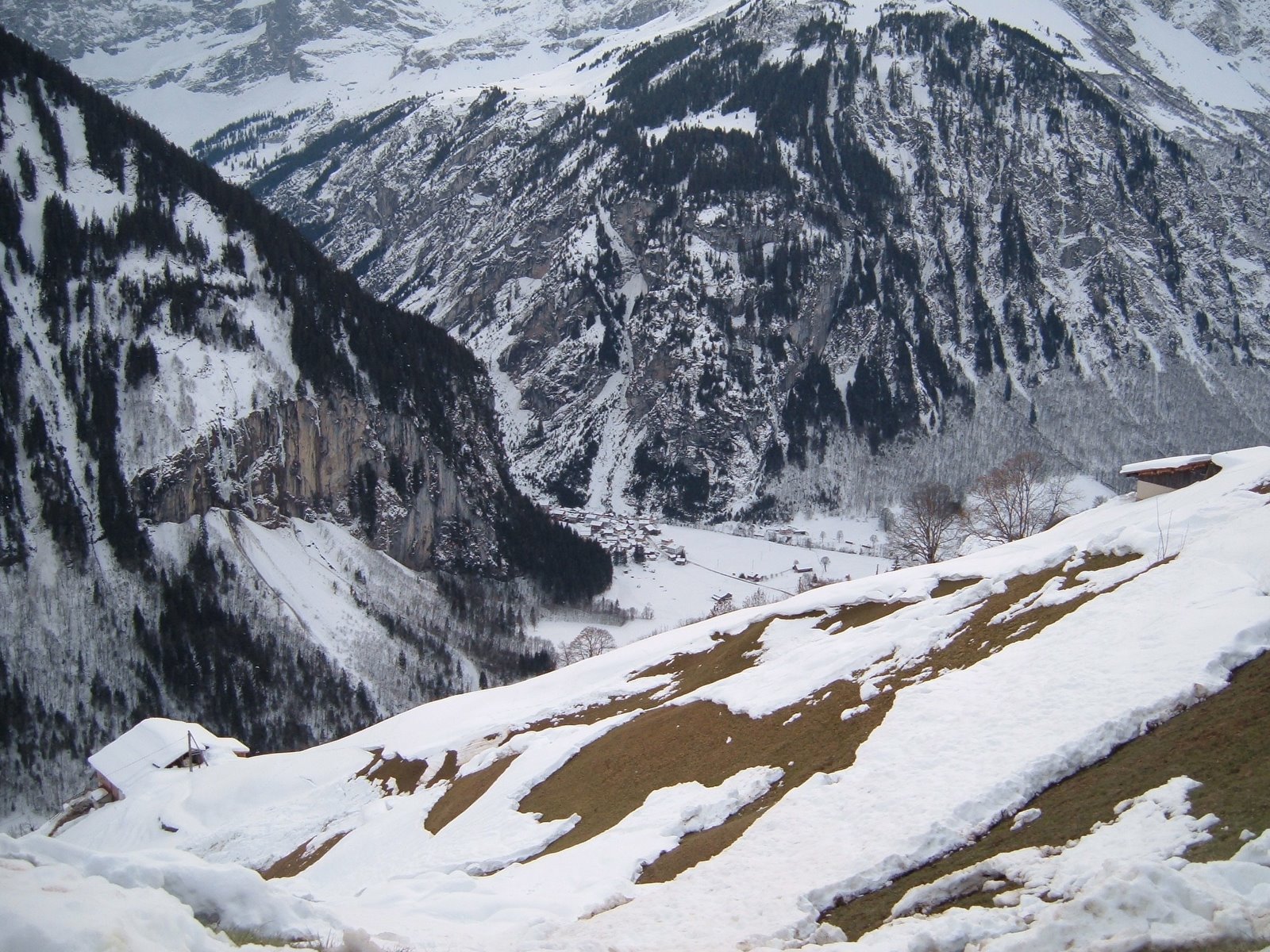 [Swiss+Alps.JPG]
