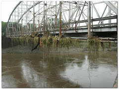 Puente rio tempisque