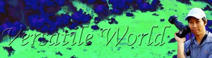 Versatile World
