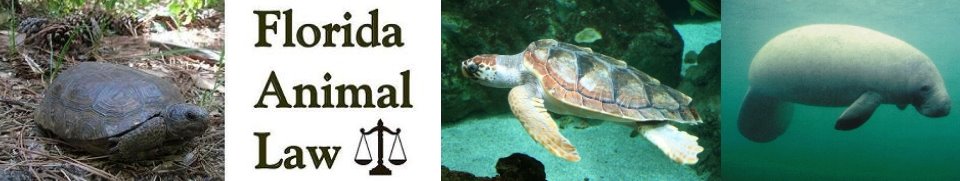 Florida Animal Law
