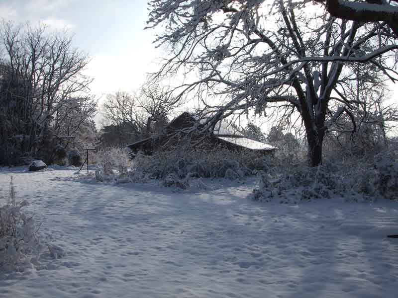 Snowy Barn